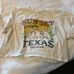 Texas crop top